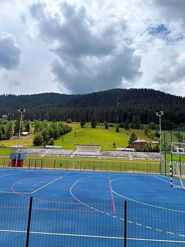 Vila Stadion