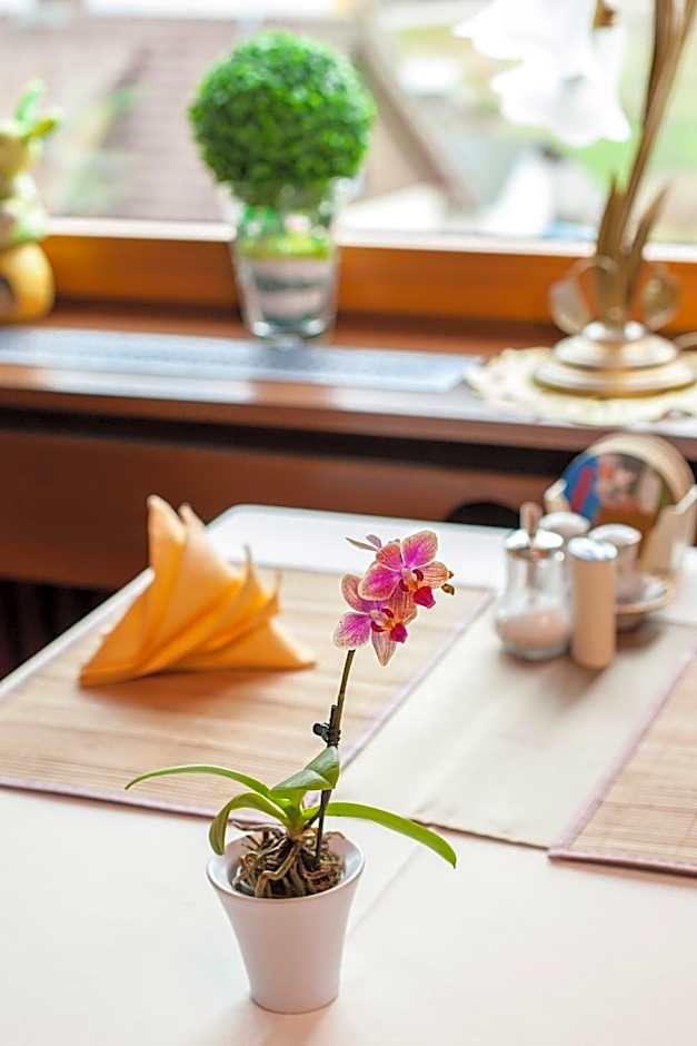 Auerhahn Bed and Breakfast - Black Forest - Waldhotel