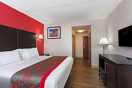 1 King Bed Suite Non-Smoking
