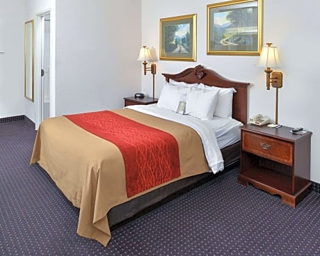 1 Queen Bed, Suite, Nonsmoking