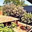 La Betulia Bed and Breakfast