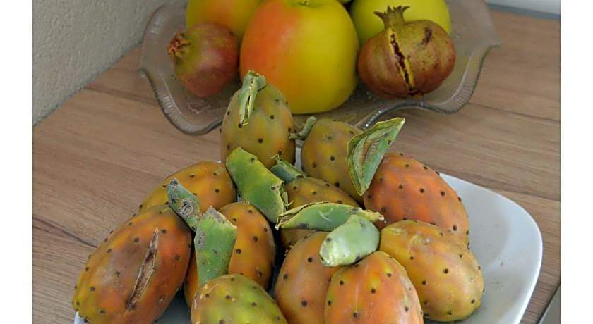 B&B Stazione Dittaino