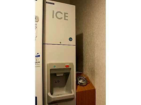 Tachikawa Washington Hotel