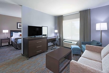 1 King Bed Studio Suite Non-Smoking