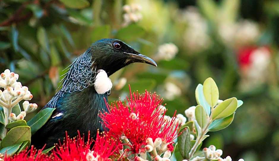 252 Beachside Motels & Holiday Park