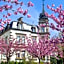 Hotel Chateau de l'Ile