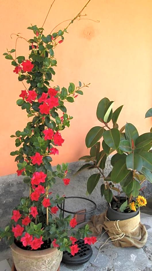 B&B Agorà Sarzana