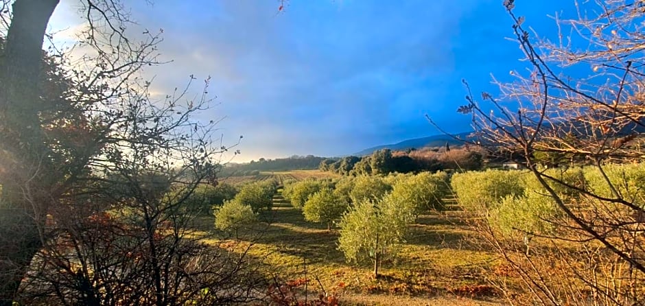 Chambre hôtes Les Garrigues CUCURON