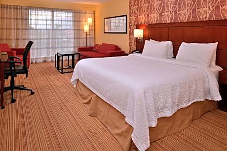Room, 1 King Bed with Sofa bed (1 King Bed and 1 Double Sofa Bed)