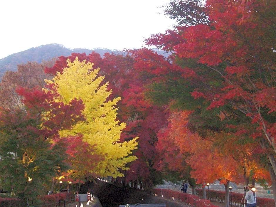 Komaya Ryokan