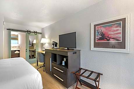 1 King Bed, Nonsmoking, Poolside