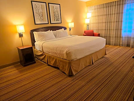 King Room with One King Bed and Whirlpool - Wheelchair Accessible