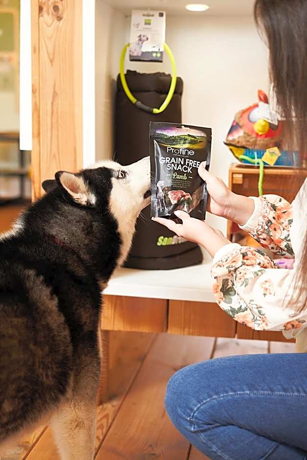 Chalets Franciska Major, Pro Village