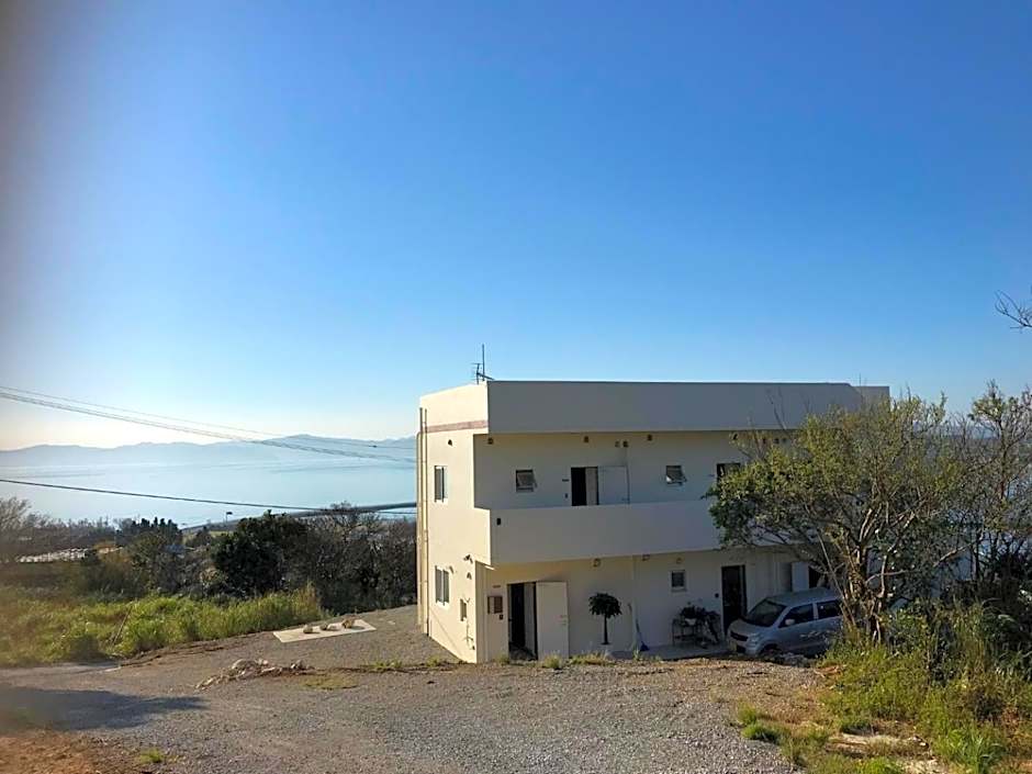 220 Kouri Nakijin-son - Hotel / Vacation STAY 8716
