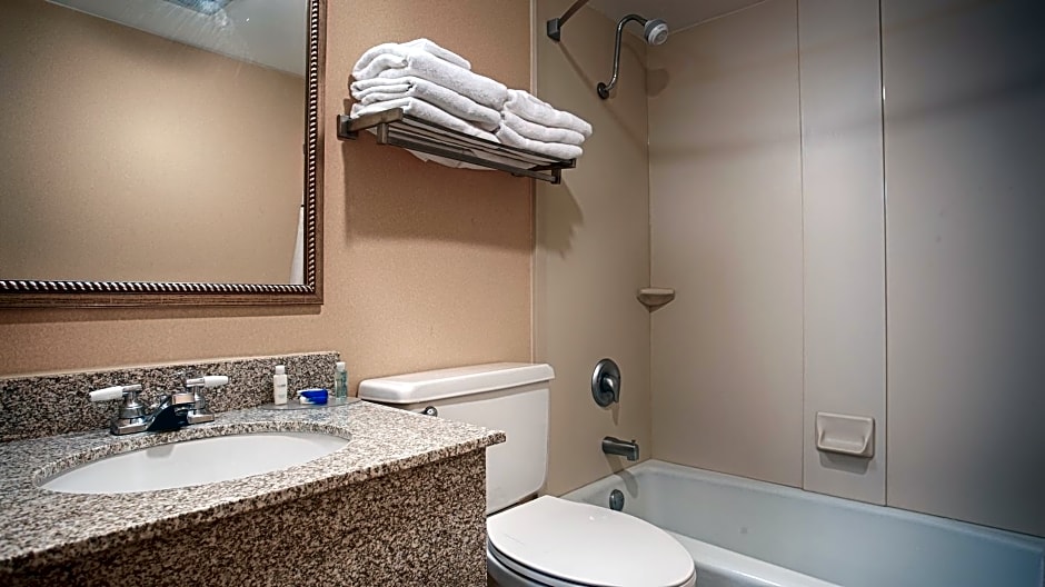Best Western Bridgeview Hotel