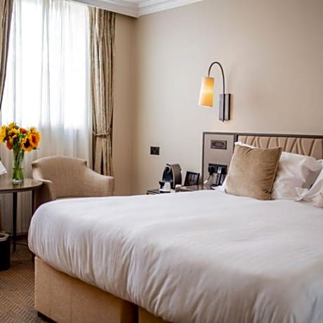 Superior Double or Twin Room with City View