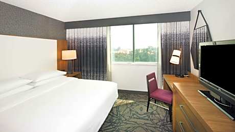 Two-Room Executive King Suite - Non-Smoking