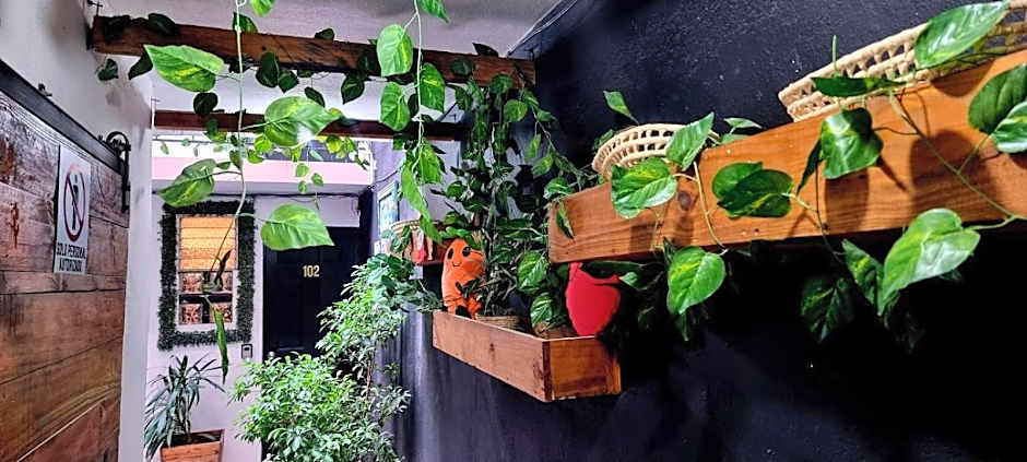 MINI HOTEL San Luis Potosí