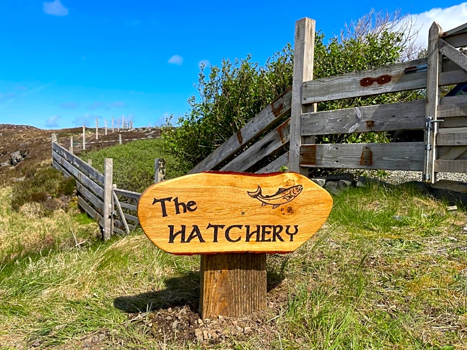 The Hatchery
