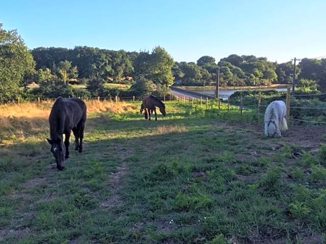 Les Fermes de Kercadoret