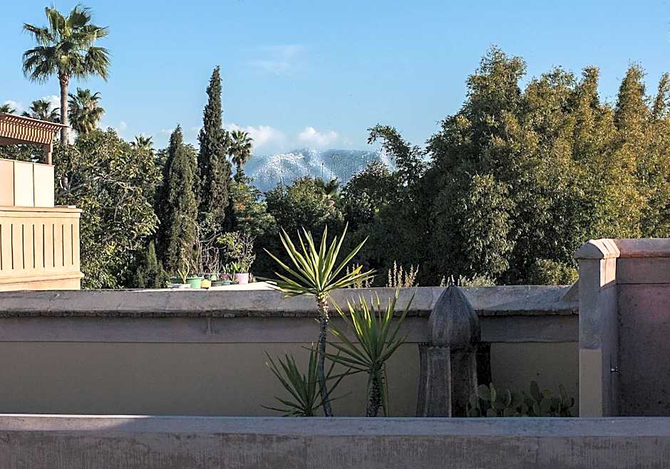 Riad Jaaneman
