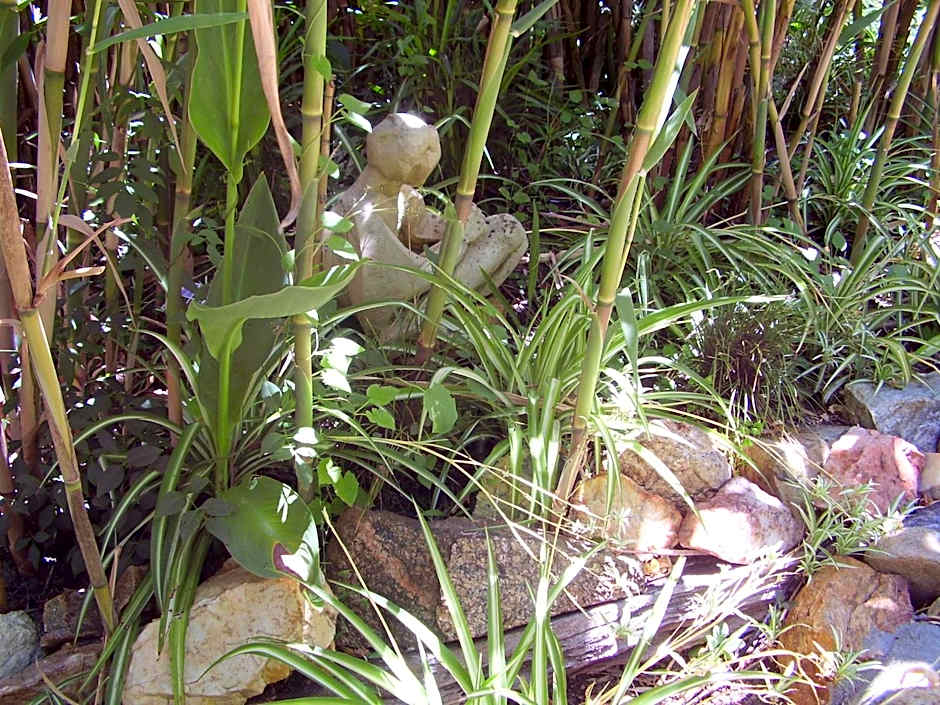 Black Cockatoo Lodge
