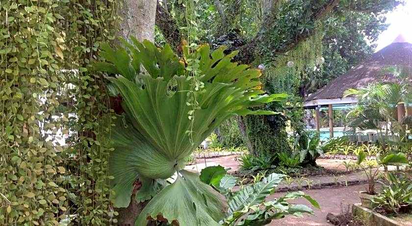 Camiguin Island Golden Sunset Beach Club