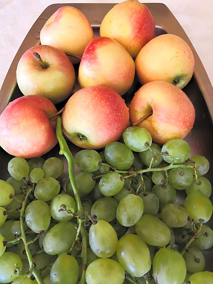 Albergo Ristorante Scanapà