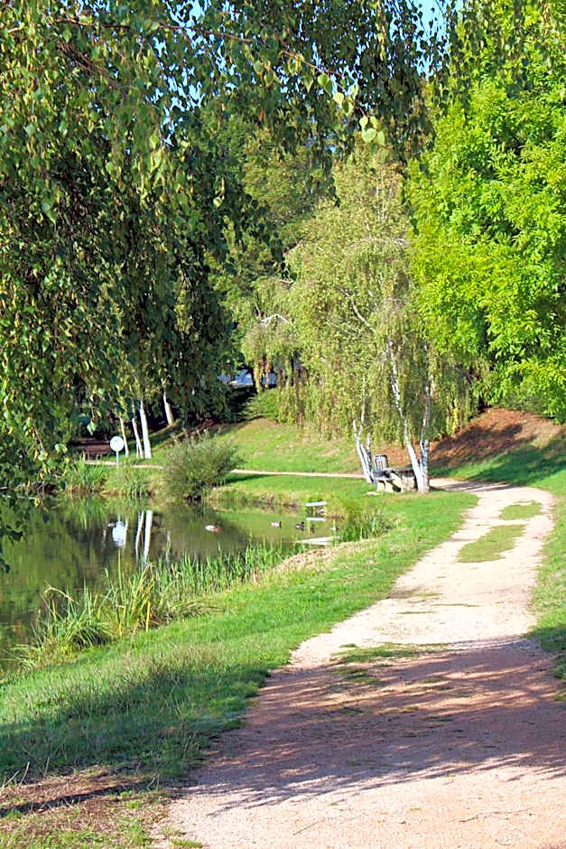 Camping de Matour - ONLYCAMP