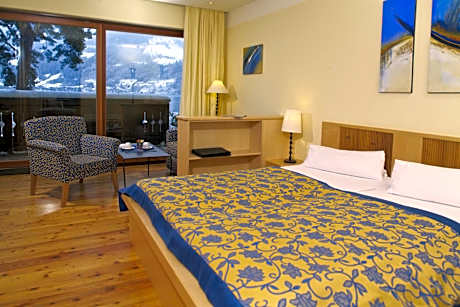 Superior Double Room with Lake View