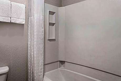 1 King Bed Non-Smoking