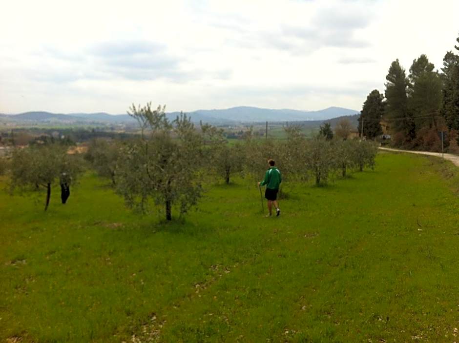 Azienda Agrituristica I Tre Casali