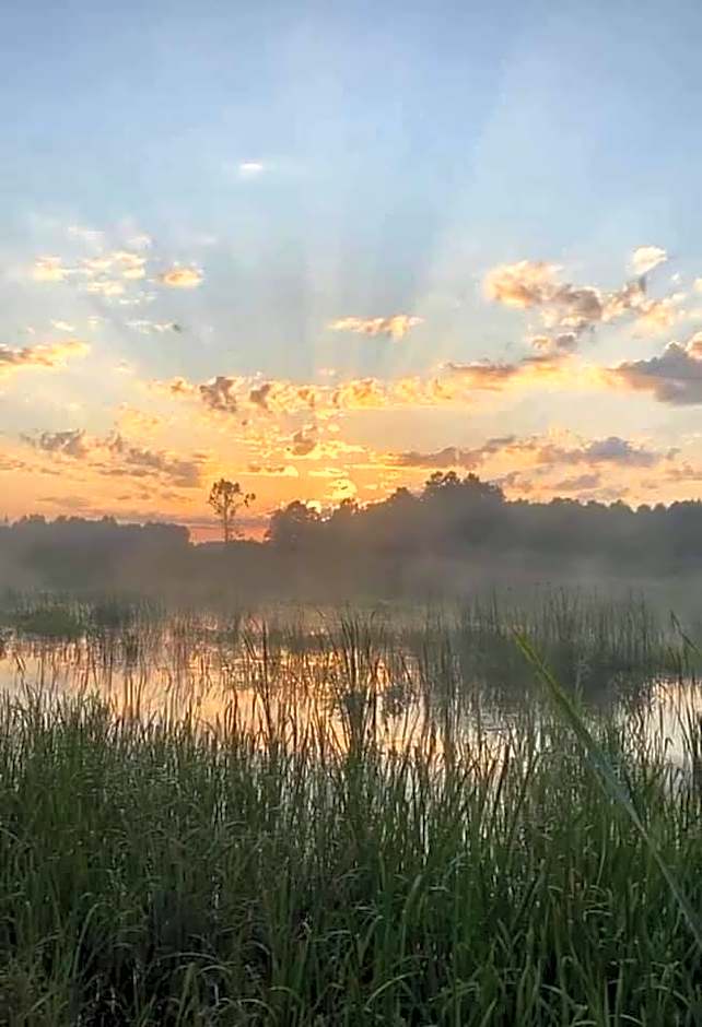 Gościniec Biebrzański