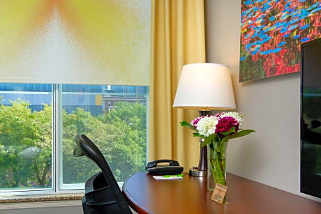 Queen Guestroom (1 Queen Bed)