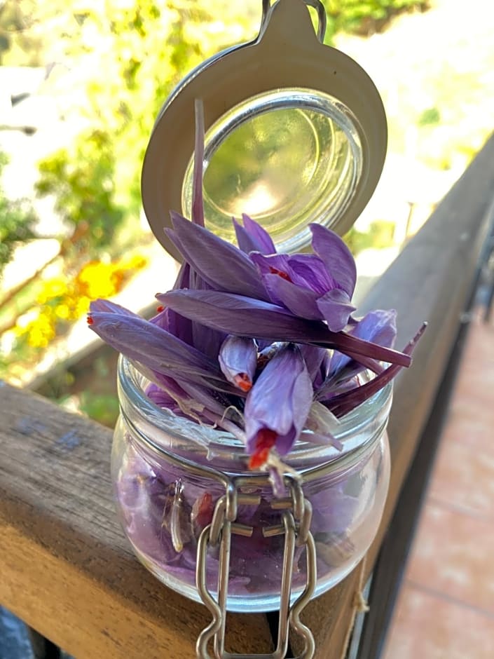 B&B IDUEVAGAMONDI immerso nel bosco tra le MONTAGNE con area benessere come EXTRA