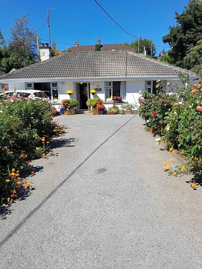 Saint Martin's Bed and Breakfast