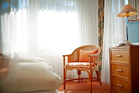 Standard Double Room with Balcony and Panorama View