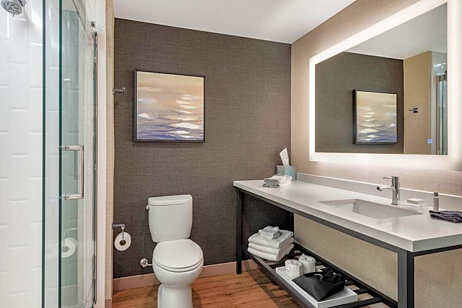 Cambria Hotel Minneapolis Downtown