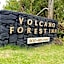 Volcano Forest Inn