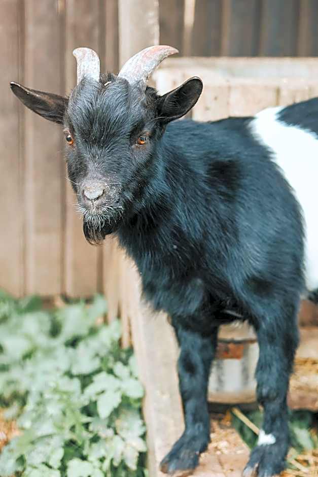 Weavers' Guest House Kalndaki