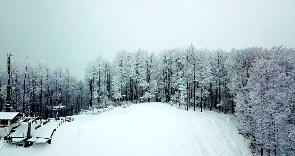 Pod Gromadzyniem Resort