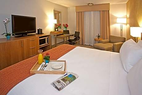 1 King Bed Standard