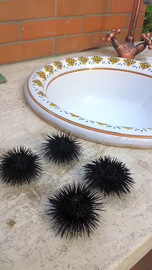 Bed And Breakfast Perla Del Sole