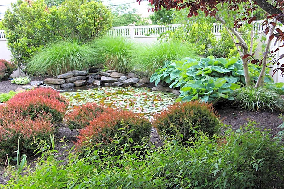 Courtyard by Marriott Lyndhurst Meadowlands