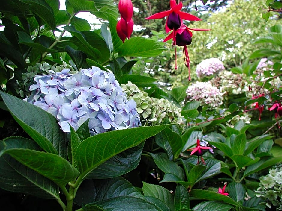 Invitation au Rivage