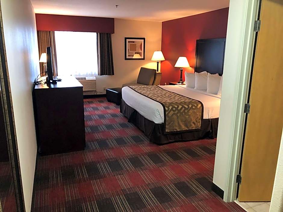 Best Western Dallas Inn And Suites