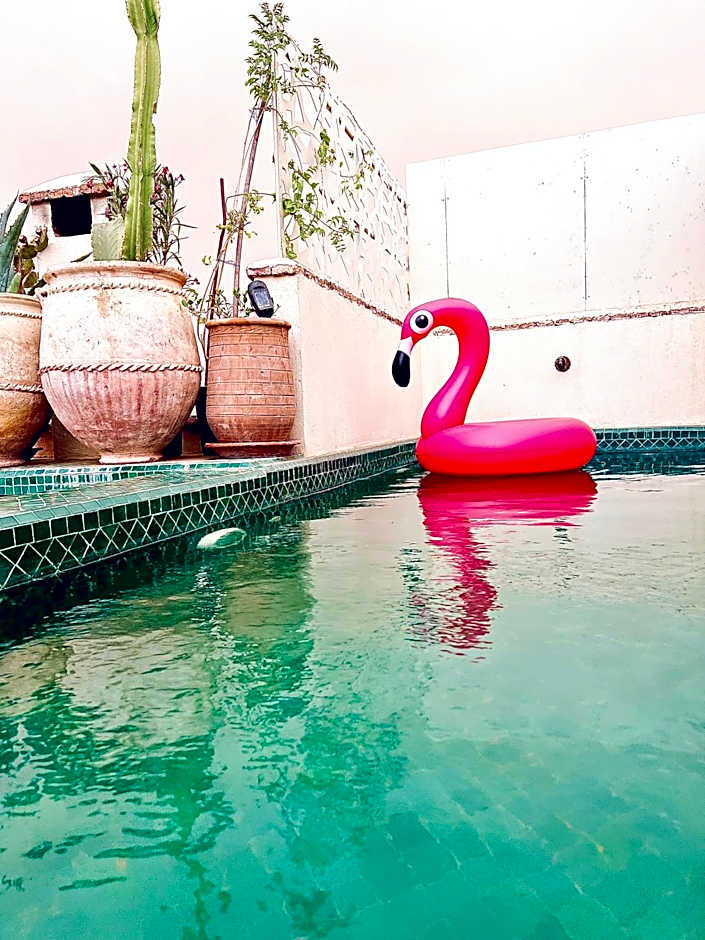 Riad 103 Medina Pool and Hammam