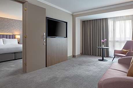 One-Bedroom King Suite