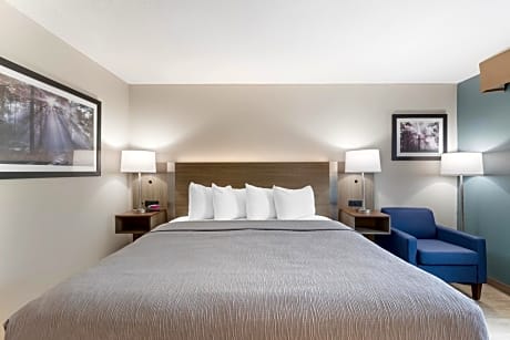 Standard Queen Room