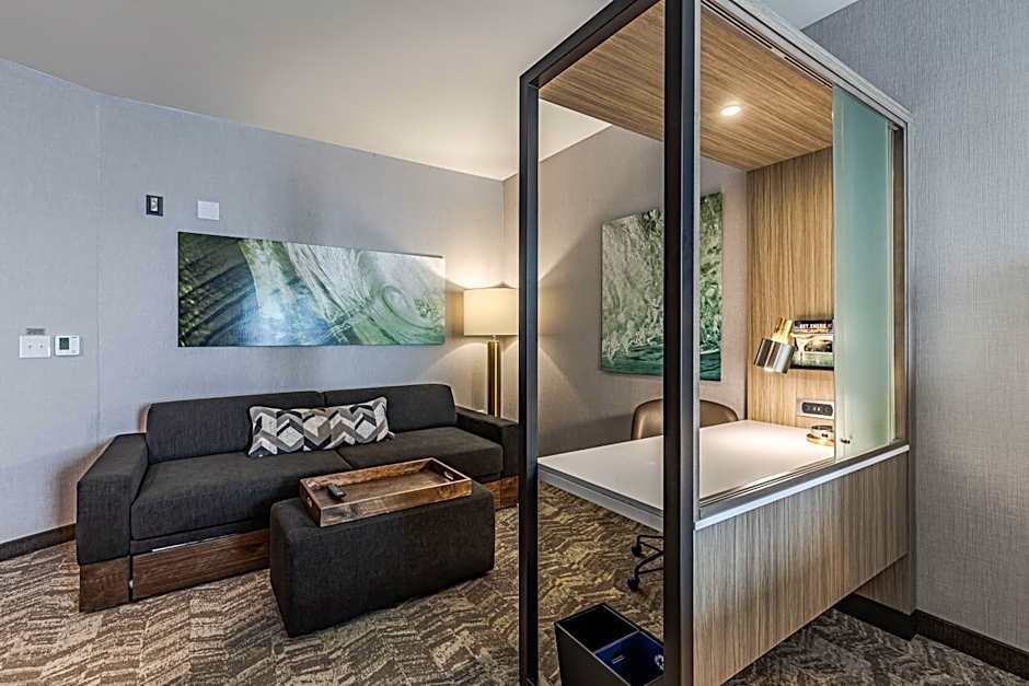 SpringHill Suites by Marriott Detroit Sterling Heights